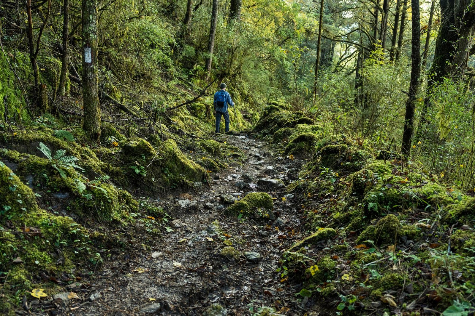 Juniper Trail Trek